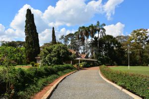 Karen Blixen farm driveway