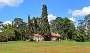 Karen Blixen farm - back wiew