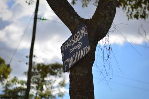 Roadsign pointing to Denys Finch Hatton's grave