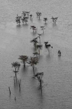 Lake Nakuru