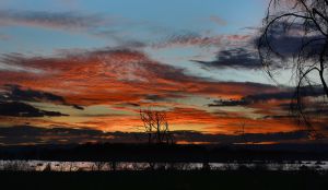 Dusk @ Lake Naivasha